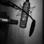 directional microphones